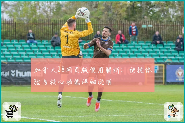 加拿大28网页版使用解析：便捷体验与核心功能详细说明