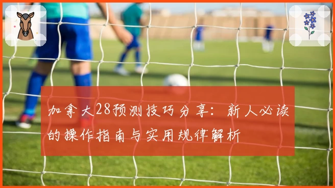 加拿大28预测技巧分享：新人必读的操作指南与实用规律解析