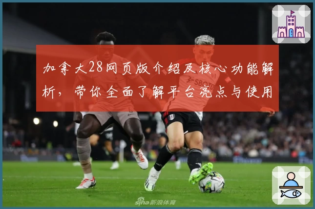 加拿大28网页版介绍及核心功能解析,带你全面了解平台亮点与使用场景