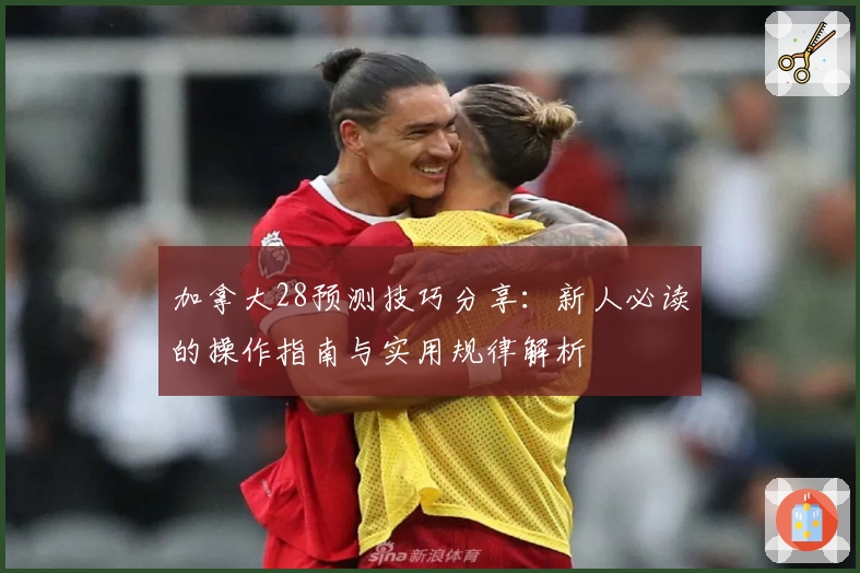 加拿大28预测技巧分享:新人必读的操作指南与实用规律解析