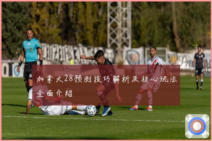 加拿大28预测技巧解析及核心玩法全面介绍