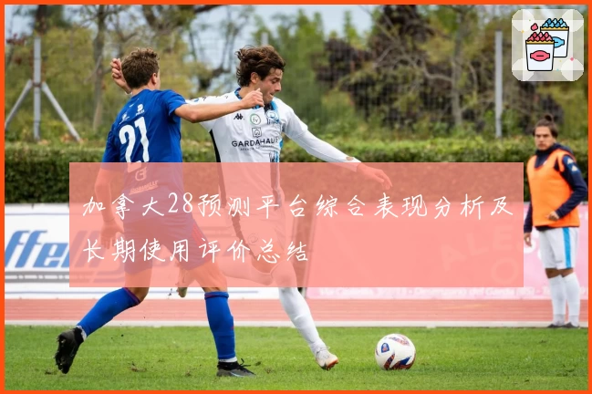 加拿大28预测平台综合表现分析及长期使用评价总结