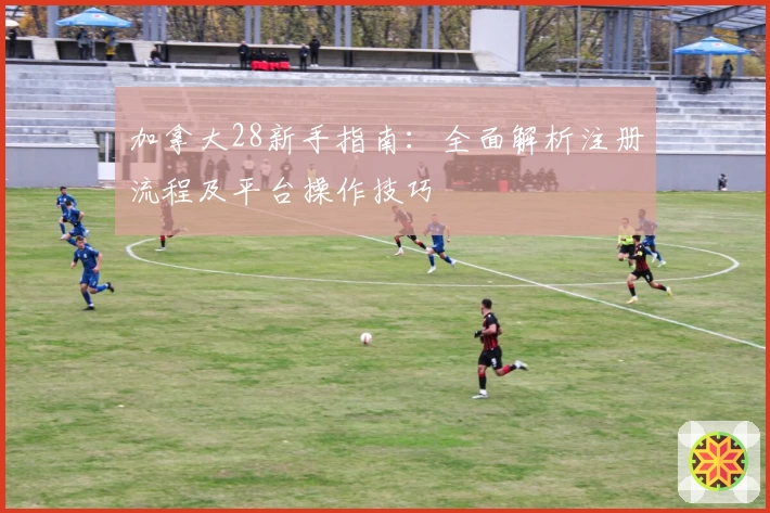 加拿大28新手指南：全面解析注册流程及平台操作技巧