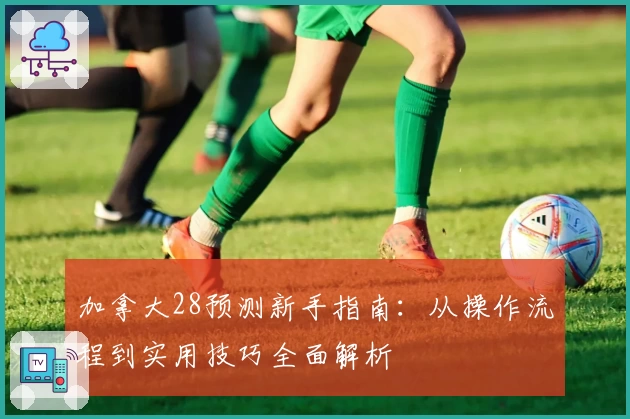 加拿大28预测新手指南：从操作流程到实用技巧全面解析