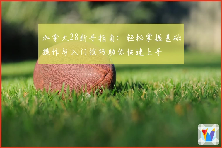 加拿大28新手指南：轻松掌握基础操作与入门技巧助你快速上手