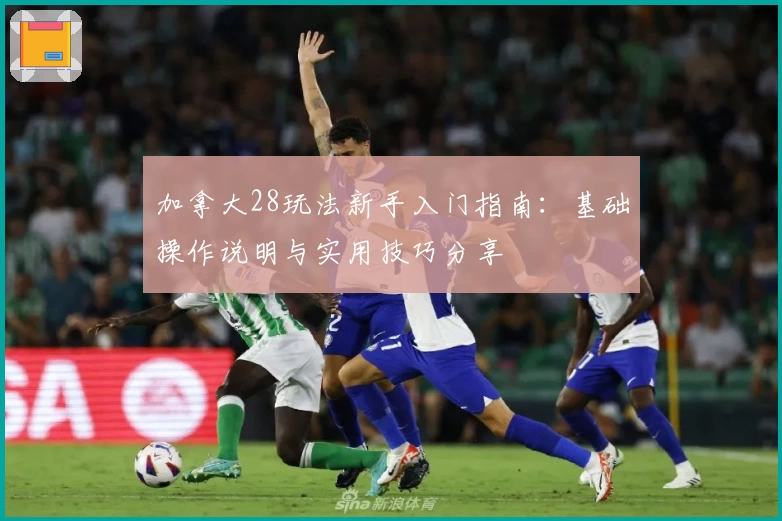 加拿大28玩法新手入门指南:基础操作说明与实用技巧分享
