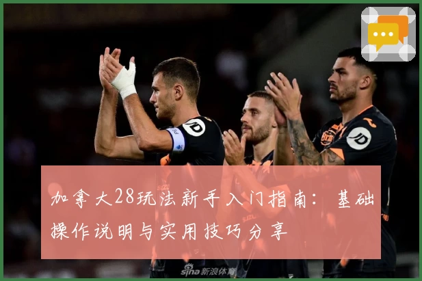 加拿大28玩法新手入门指南：基础操作说明与实用技巧分享