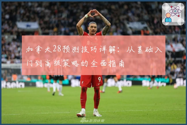 加拿大28预测技巧详解：从基础入门到高级策略的全面指南