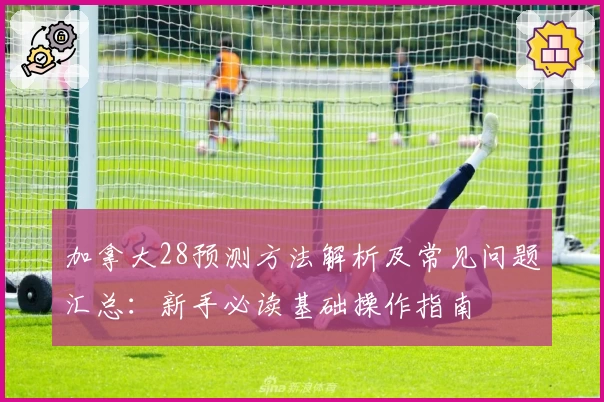 加拿大28预测方法解析及常见问题汇总：新手必读基础操作指南